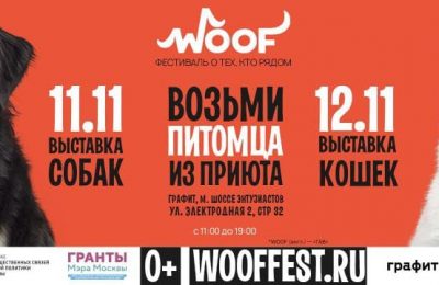 В Москве пройдет фестиваль WOOFв поддержку животных из приютов