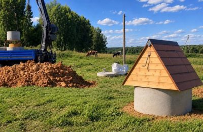 «Когда случится пожар — рыть колодец уже поздно»: фонд «Мир Вместе» создал источник воды для спасённых животных